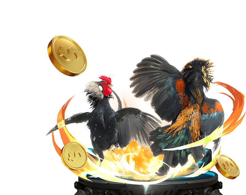 Cá cược Thể Thao tại 88aa